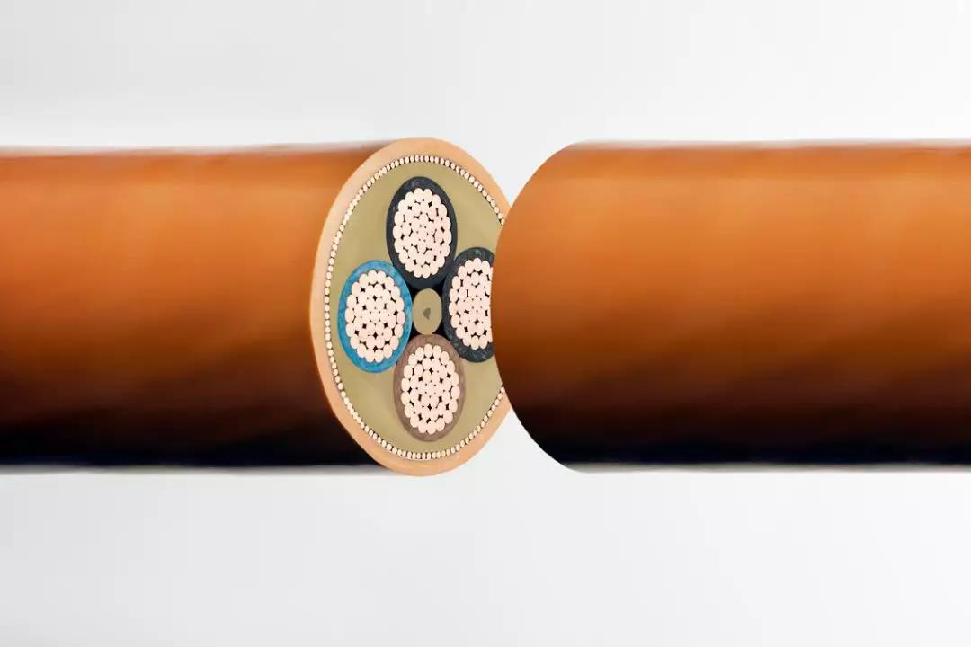 圖片1.png 圖片1.png